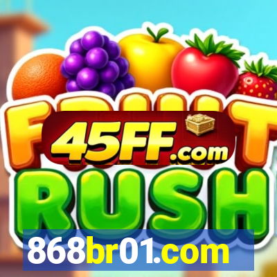 868br01.com