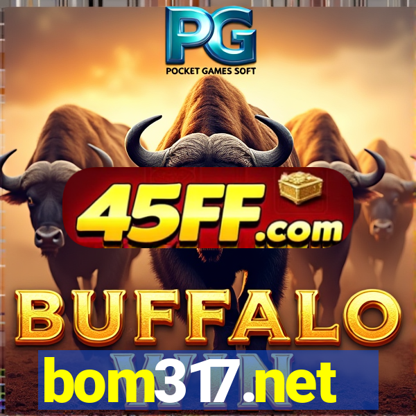 bom317.net